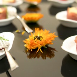 The fashion side of the food - Pesce
